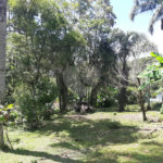 Tapiraí Sp - Sítio Santa Clara - Area de 12,1 ha - composto por casa principal, galpões poço artesiano, ótima área para plantios. Fica localizado a aproximadam. 1 quilômetro da prefeitura. Area preservação permanente- 4,6 ha - Area aproveitável - 4,6 ha - area utilizada rural - 2,5 ha -R$ 750.000,00