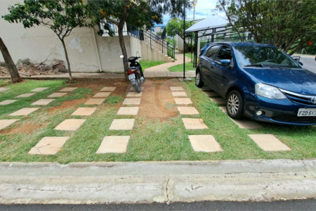 Monte dos Pinheiros — o começo de uma nova fase para sua família