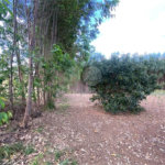 Excelente sitio para venda.