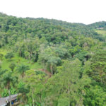 Tapiraí Sp - Sítio Santa Clara - Area de 12,1 ha - composto por casa principal, galpões poço artesiano, ótima área para plantios. Fica localizado a aproximadam. 1 quilômetro da prefeitura. Area preservação permanente- 4,6 ha - Area aproveitável - 4,6 ha - area utilizada rural - 2,5 ha -R$ 750.000,00