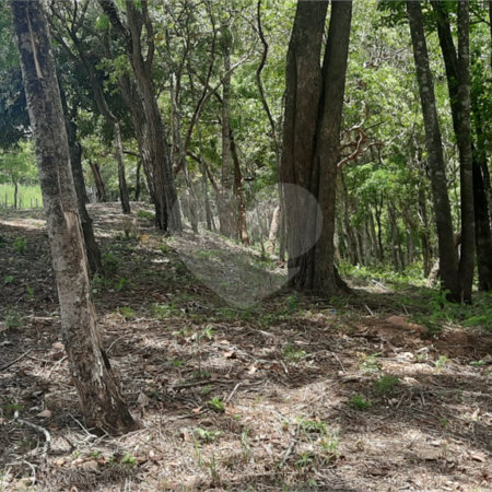 Terreno de 3.150m². Região de Chácaras no Jardim Estancia Brasil, Atibaia, SP
