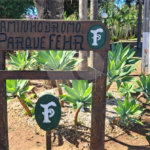 terreno a venda no parque fehr qualidade de vida