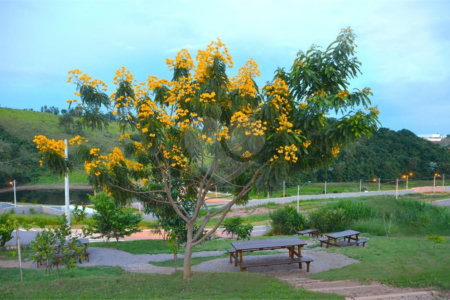 Terreno à venda no condomínio Ecologie, Itatiba - SP