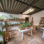 Terreno à venda em Vila Pirajussara, São Paulo, SP