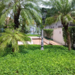 APARTAMENTO COM 3 QUARTOS À VENDA EM VILA MARIANA SP