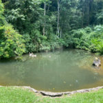 Vende-se chácara com lago Nazare Paulista com 3.000 m²
