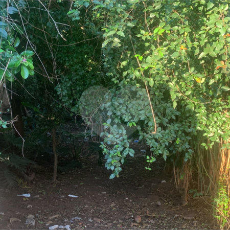 Terreno com 1.000,00 m²