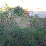 Terreno murado com portão e concertina no Jardim Embaré,