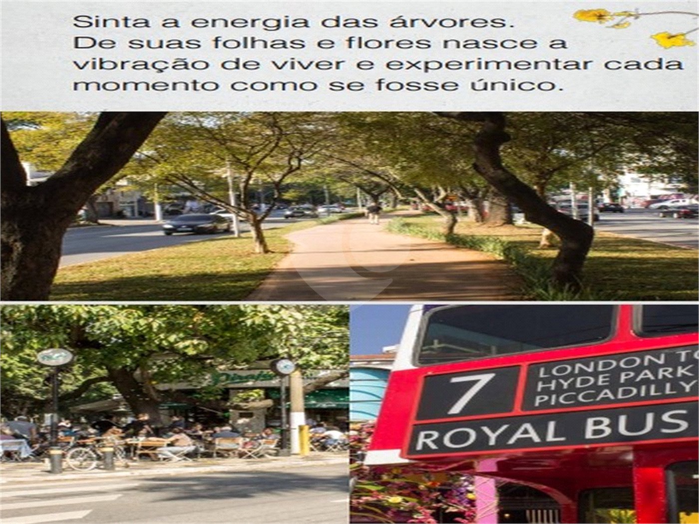 Studios com 34,06 e 36,41 m2, a 300 m do Metrô Vila Madalena