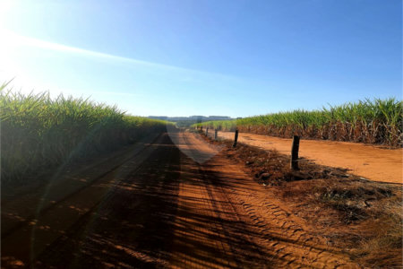 Fazenda em Ribeirão Bonito
