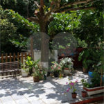 Sitio para venda.