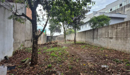 Terreno à venda em Vila Carmosina, São Paulo, SP