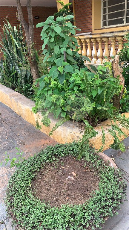 Casa térrea na Vila Boa Vista