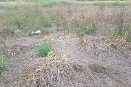 Lote no Jardim do Bosque, aceita financiamento ou aquisição de terreno e construção