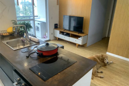 Apartamento à venda com 1 quarto em Parque Reboucas, São Paulo, SP