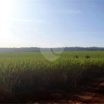 Fazenda em Ribeirão Bonito