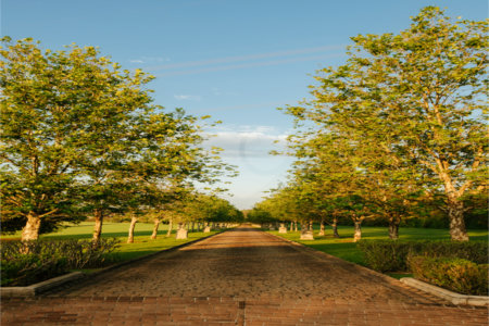 O Reserva Itanhangá nasce com um paisagismo exuberante e já formado, onde o replantio manterá a sensação, a paisagem e a estética que a propriedade proporciona atualmente. O empreendimento está em uma ótima localização, com acesso através de uma ampla avenida, junto ao Helvetia e seus campos de polo