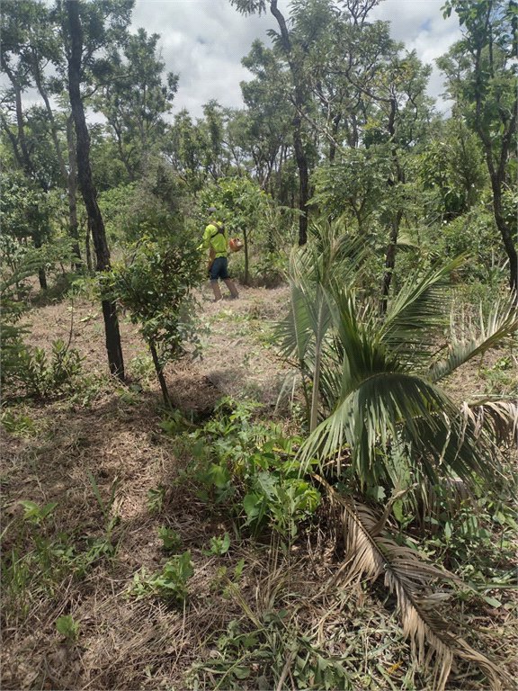 Vende-se área comercial com 220m de frente para a Washington Luiz,