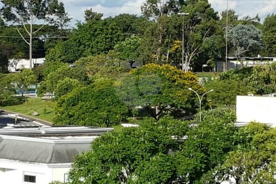 Excelente terreno para Construtores 10 x 30 na Vila Lucia