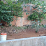 Casa Térrea com 3 dormitórios, sendo 1 suíte.