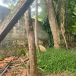 Vendo Terreno de 290m2 rua do Horto para sua casa ou investimento