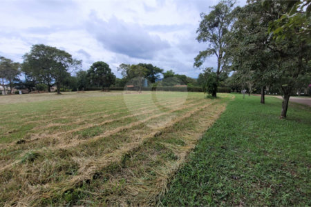 Loteamento Residencial no Condomínio Vila Pinhal do Broa.