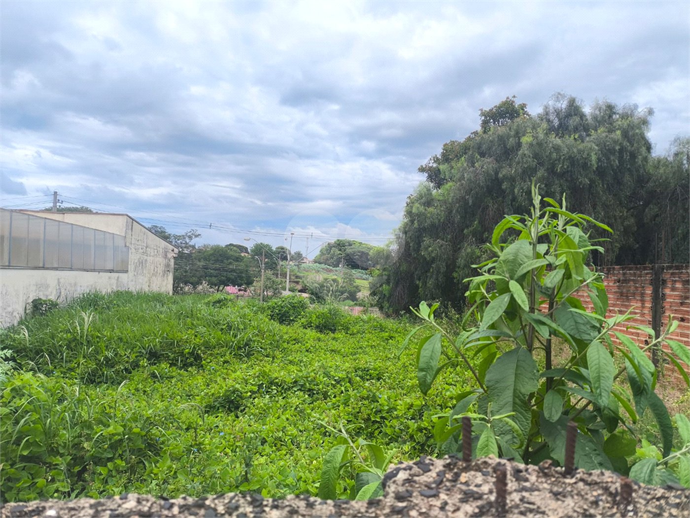 Terreno no Jardim Ricetti São Carlos - SP