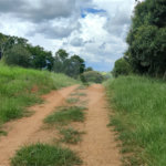GLEBAS RURAIS EM PIRACAIA A PARTIR 20.000 M², EXCELENTE PARA CHÁCARAS E FAZENDINHAS