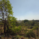 Excelente sítio de 27 alqueires, ótima localização em São Carlos.