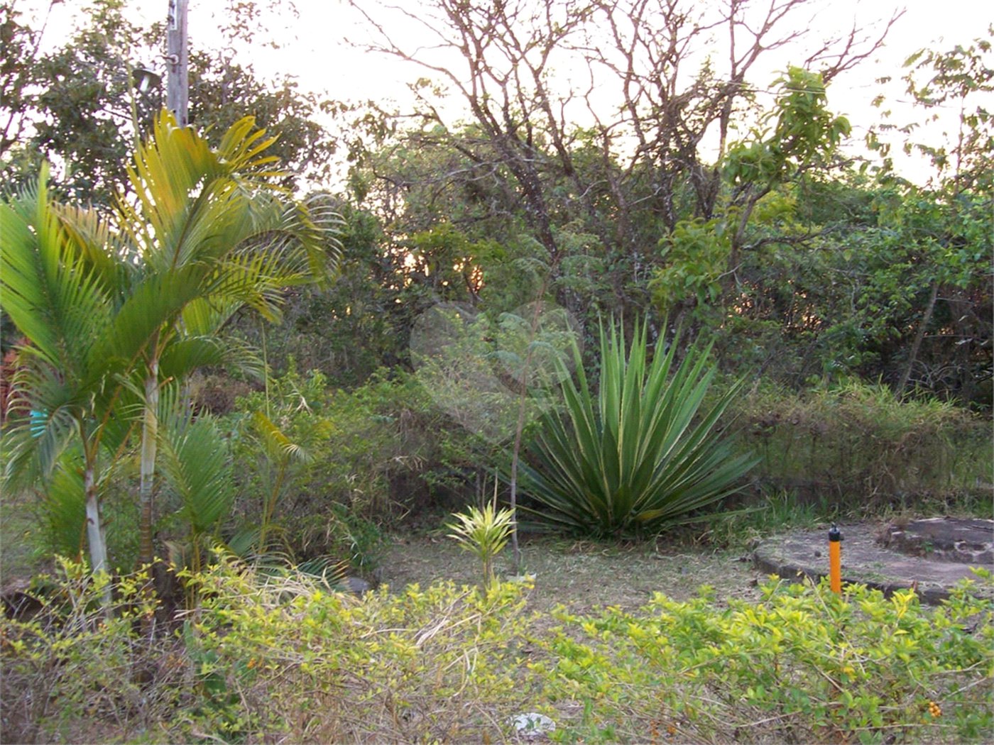 Chácara a venda no Aracê de Santo Antônio .