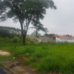 Excelente lote para venda.