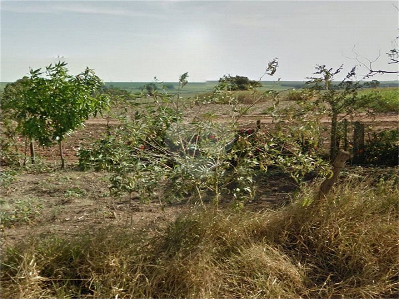 Área rural em Ibaté