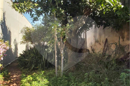 Casa térrea no Centro