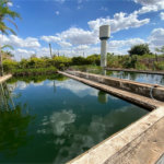 Excelente sitio para venda.