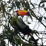 Loteamento à Venda em Itatiba - SP
