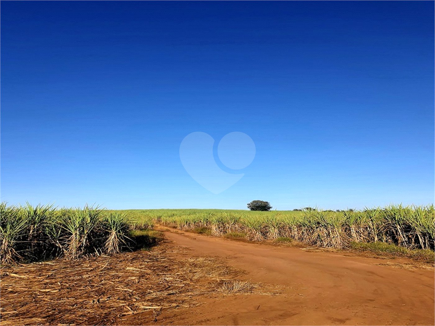 Fazenda em Ribeirão Bonito