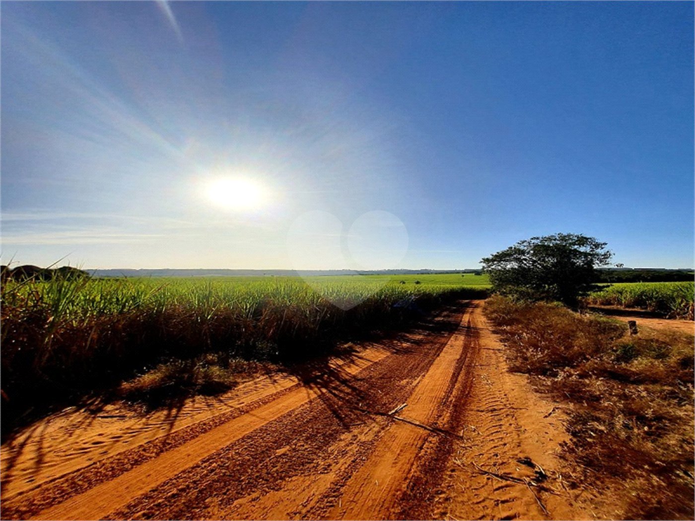 Fazenda em Ribeirão Bonito