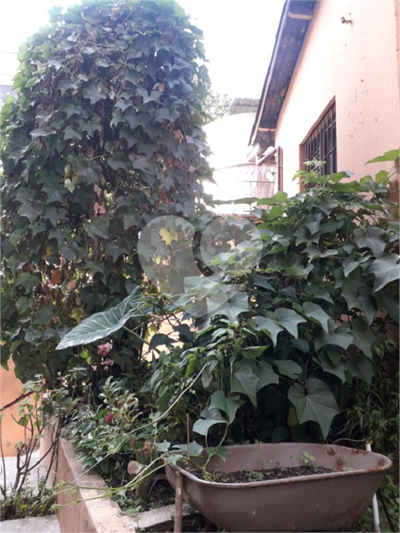 Apartamento na Bela Vista 1 quarto 40 mt