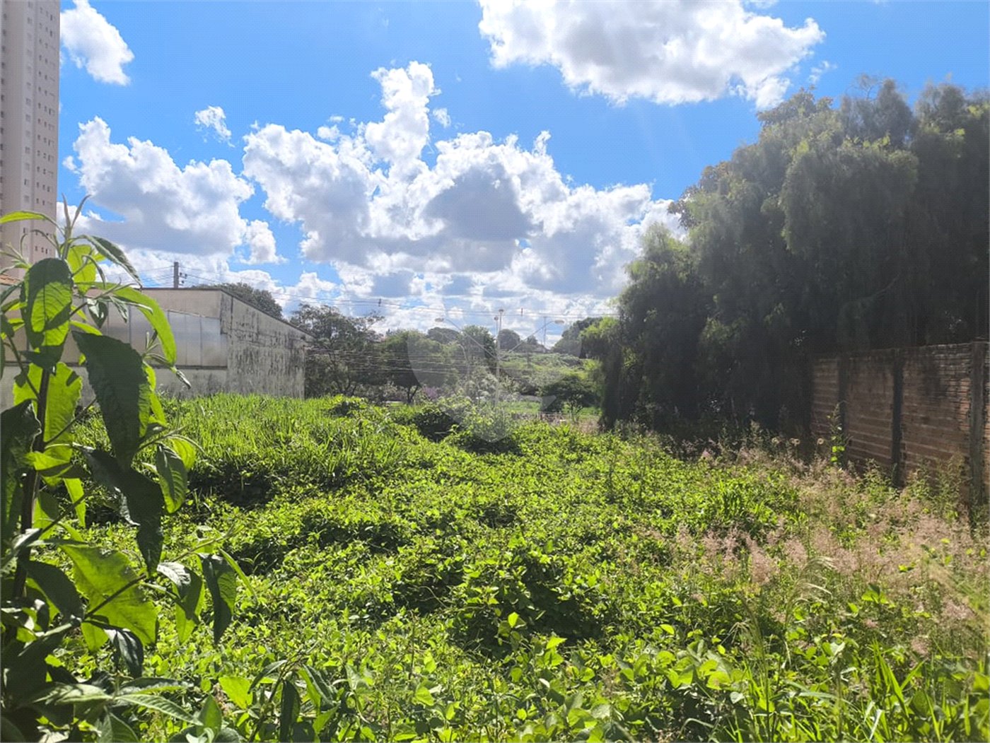 Terreno no Jardim Ricetti São Carlos - SP