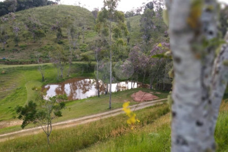 Sítio à Venda Natividade da Serra c/ 2.291,56m² Area Const. e 271.000,00m² Área Total
