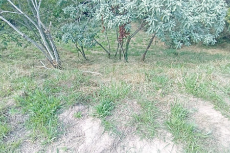 Terreno à venda no condomínio Vila D'oro em Vinhedo/SP