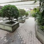Apartamento à venda com 3 quartos, sendo 3 suítes, em Vila Sônia, São Paulo - SP