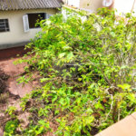 Sobrado á venda - Jabaquara