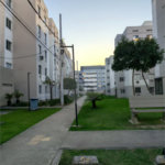 APE NOVINHO EM CACHAMORRA