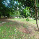 Chácara à venda com 3 quartos, sendo 1 suíte, em Bosque, Vinhedo, SP