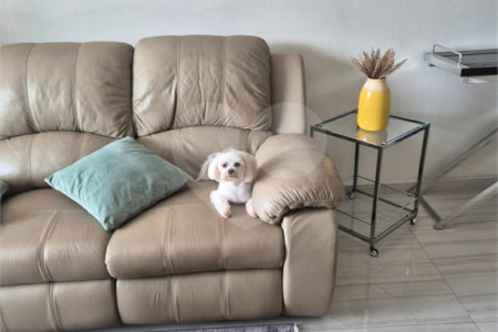 Apartamento a venda no Tatuapé