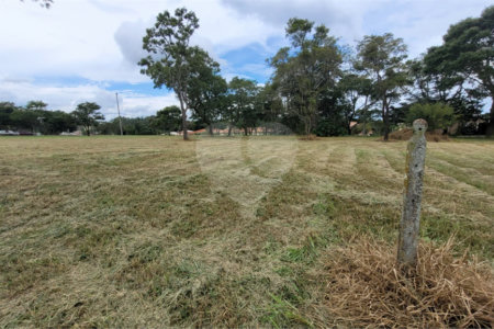 Loteamento Residencial no Condomínio Vila Pinhal do Broa.