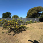 Imóvel comercial á venda, com 766m2 de terreno, em São Carlos-SP