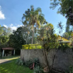 Casa com Piscina, Sauna e Edícula em Rua Arborizada no Tremembé