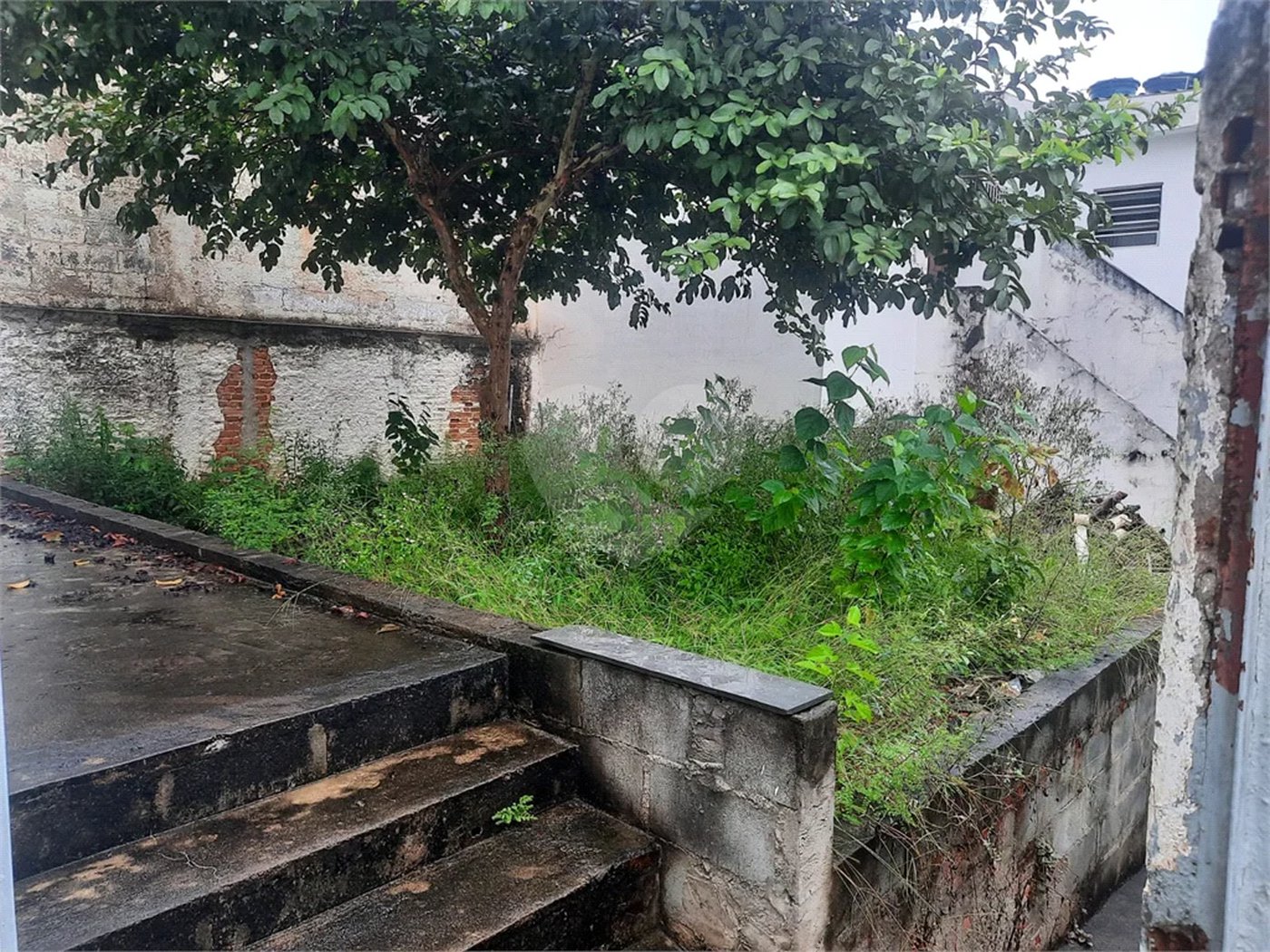 Terreno com excelente topografia